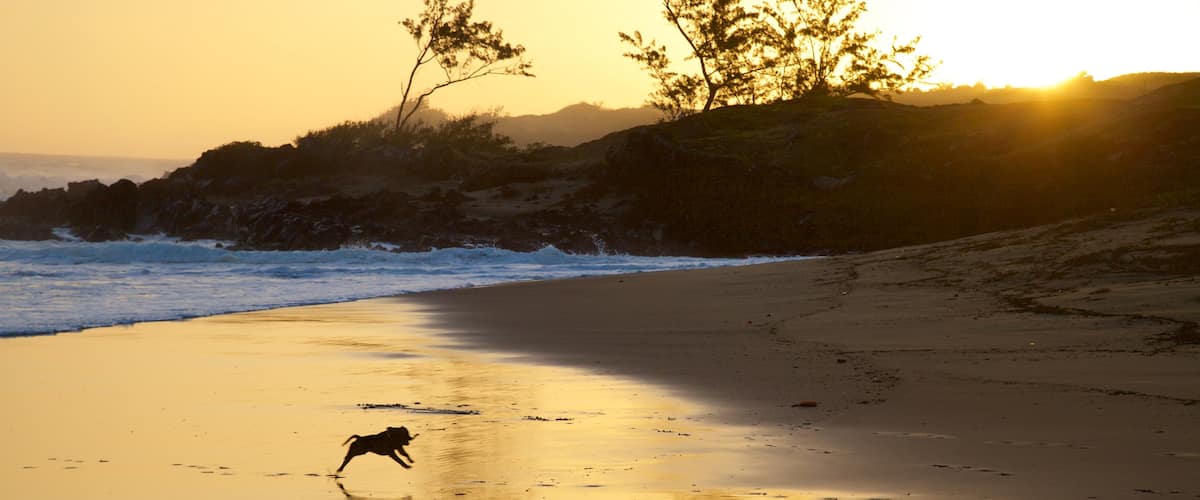 Saint-Pierre montrant plage de sable et coucher de soleil