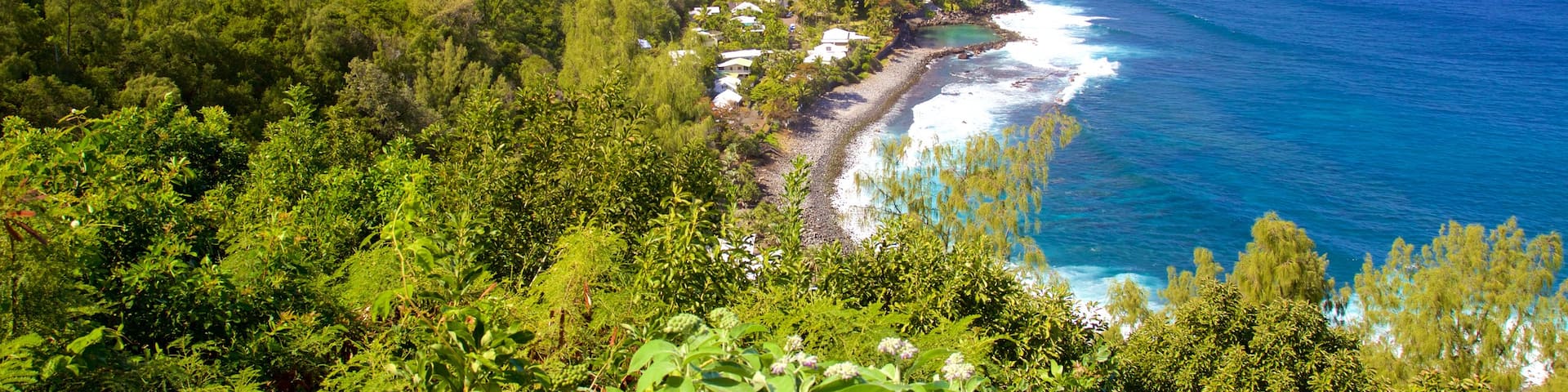 Petite-Ile featuring general coastal views
