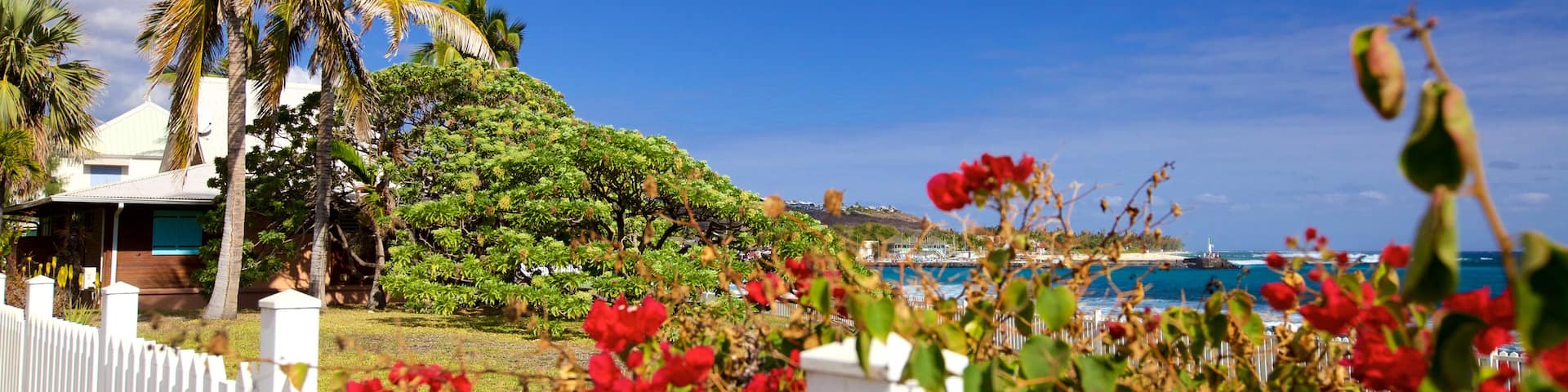 St-Gilles-les-Bains welches beinhaltet Blumen
