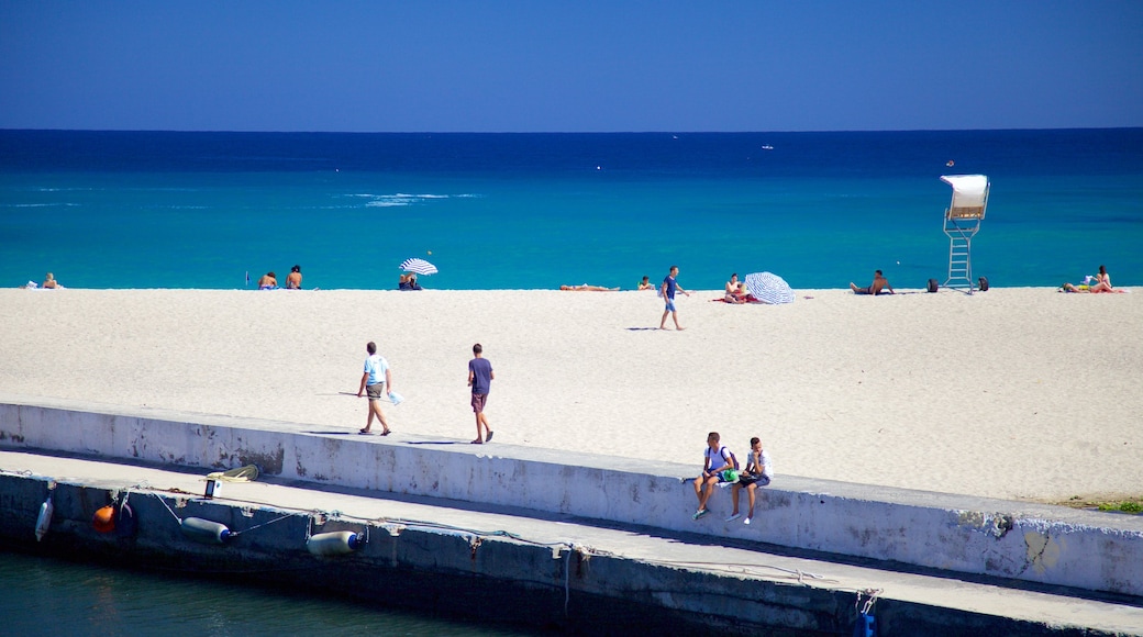 St Gilles-les-Bains featuring a sandy beach