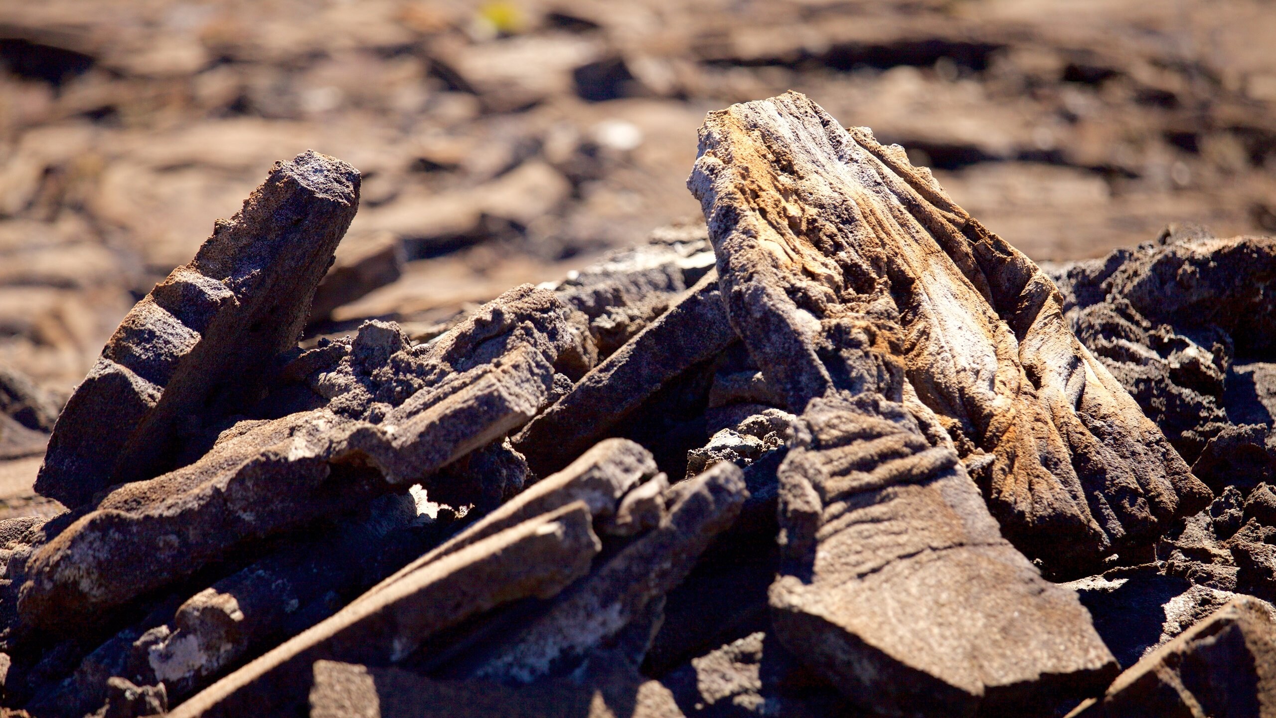Piton de la Fournaise in SainteRose Expedia.co.uk