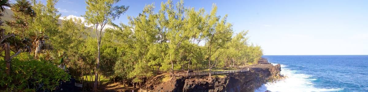 Cape Mechant showing rocky coastline