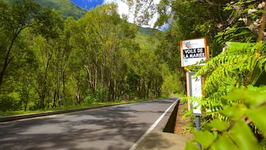 Réunion johon kuuluu metsänäkymät ja kyltit