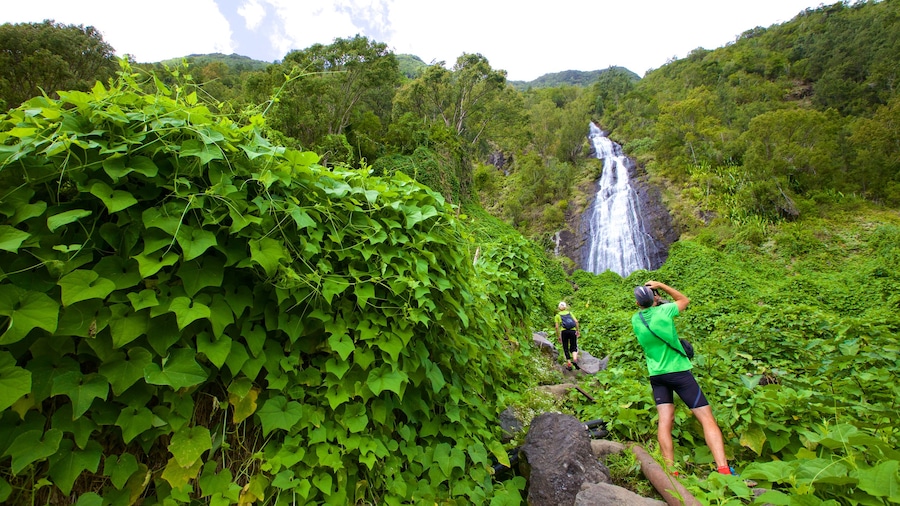 Reunion which includes a cascade and tranquil scenes as well as a small group of people