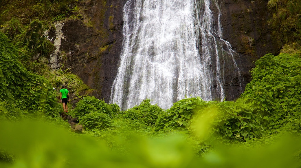 Reunión que incluye una catarata y situaciones tranquilas