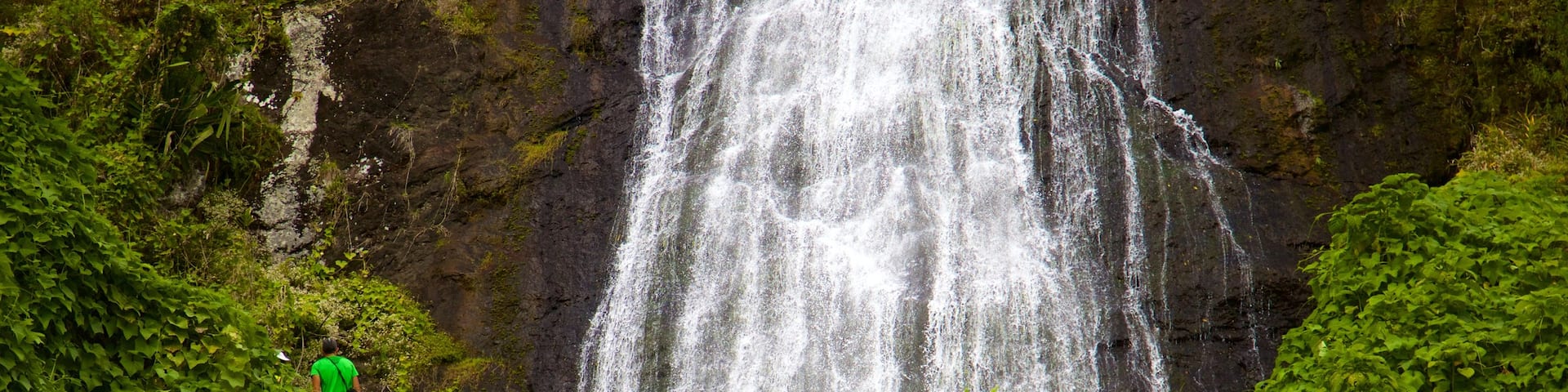 レユニオン 表示 静かな風景 と 滝