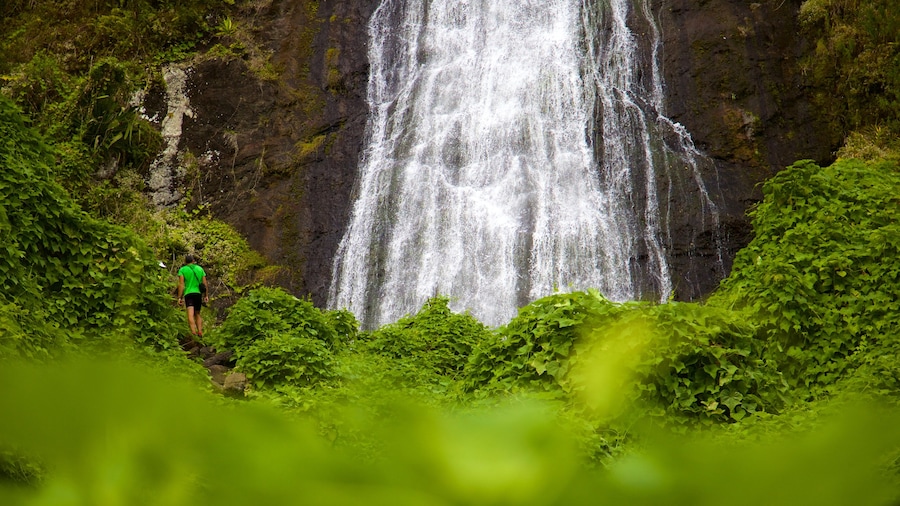 Reunion showing tranquil scenes and a waterfall