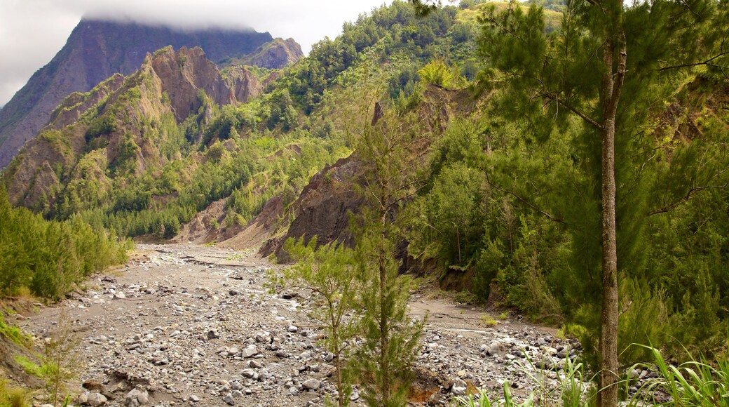 Reunion showing mountains, landscape views and tranquil scenes