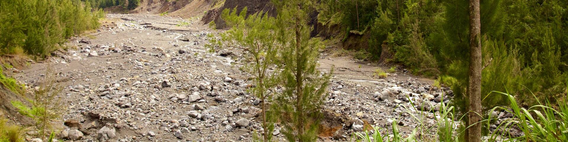 La Réunion qui includes montagnes, panoramas et scÚnes tranquilles