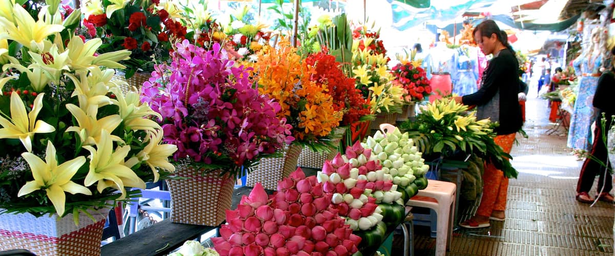 Central Market showing markets and flowers as well as an individual femail