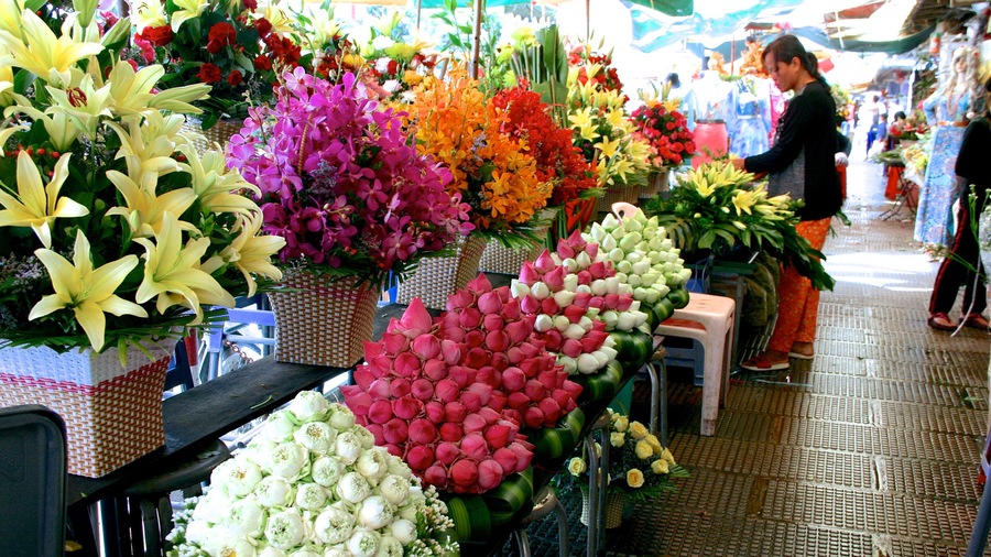 Central Market showing markets and flowers as well as an individual femail