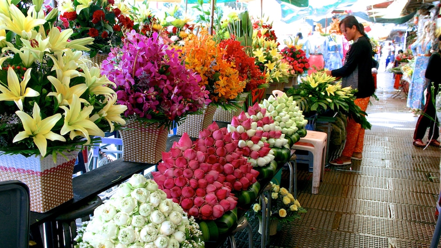 Central Market showing markets and flowers as well as an individual female