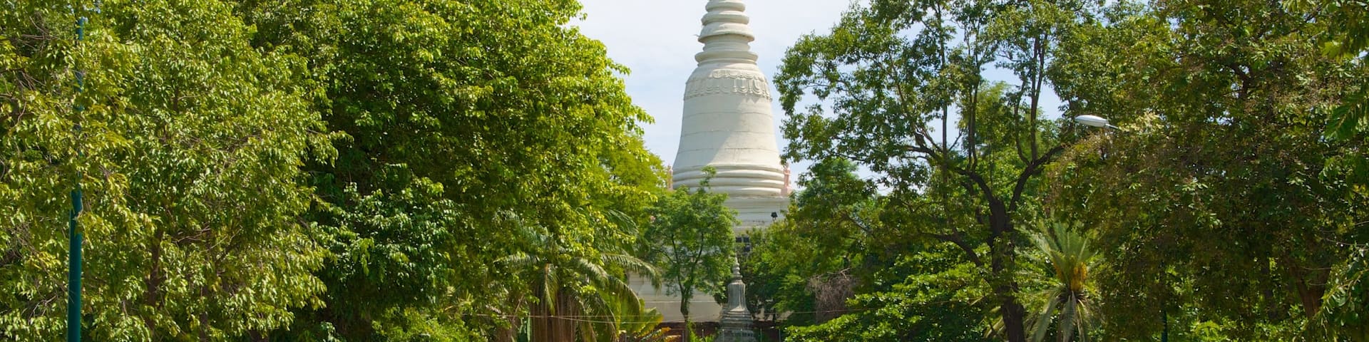 Wat Phnom which includes a park