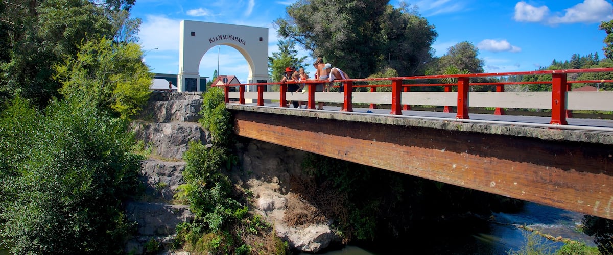 Whakarewarewa Thermal Reserve showing a river or creek and a bridge