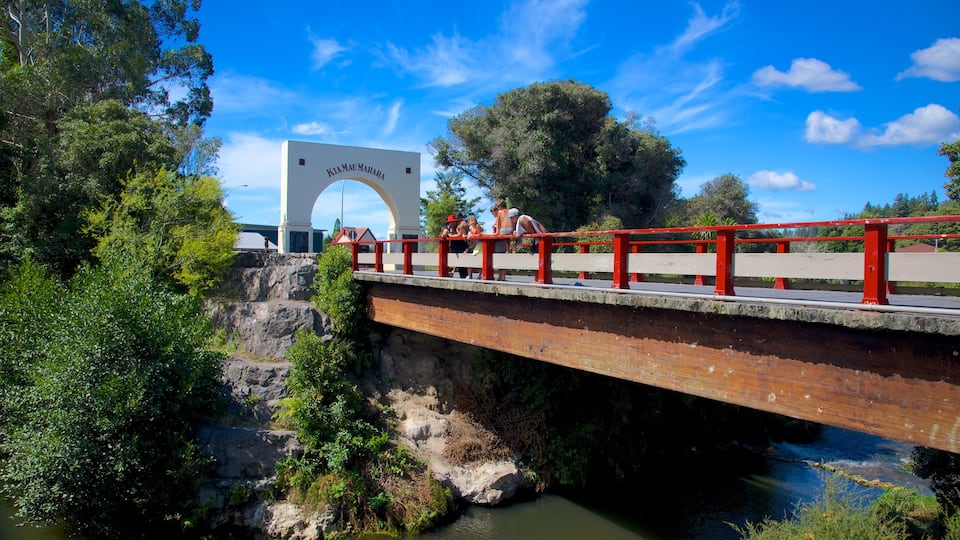 Whakarewarewa Thermal Reserve featuring a river or creek and a bridge