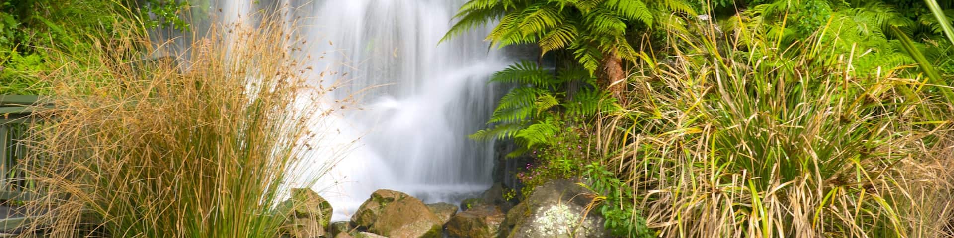 Rainbow Springs Kiwi Wildlife Park featuring a waterfall