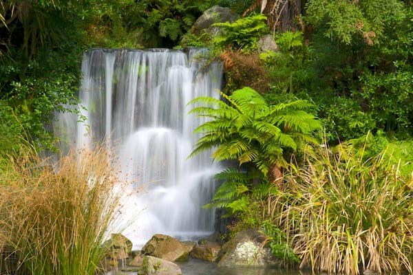 Rainbow Springs Kiwi Wildlife Park mit einem Kaskade