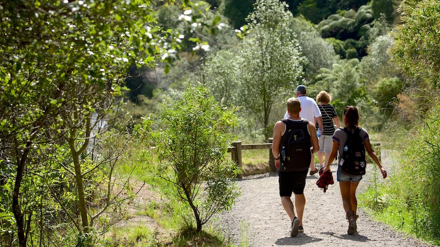 Waimangu som inkluderar vandring såväl som en liten grupp av människor