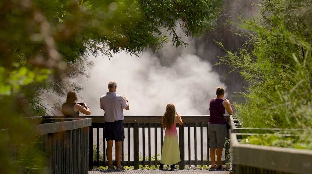 Rotorua which includes forest scenes as well as a small group of people