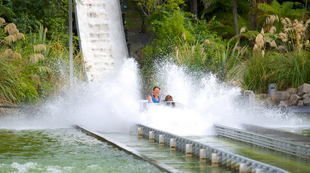 Parque Reserva del Kiwi de Rainbow Springs ofreciendo paseos y también un pequeño grupo de personas