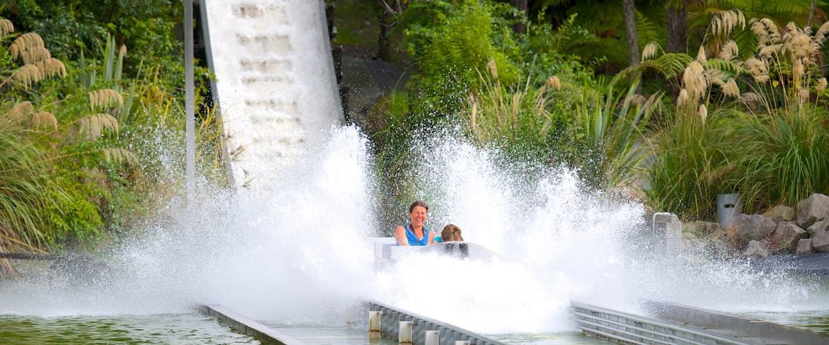 Rainbow Springs Kiwi Wildlife Park showing rides as well as a small group of people