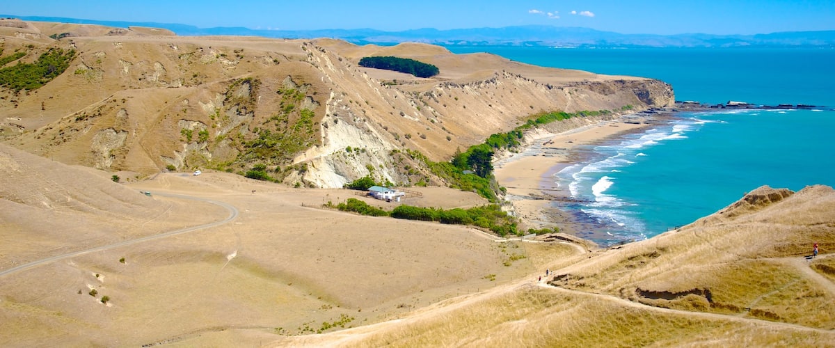 Cape Kidnappers showing general coastal views, landscape views and tranquil scenes