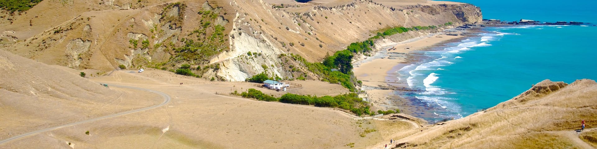 Cape Kidnappers das einen allgemeine Küstenansicht, ruhige Szenerie und Landschaften