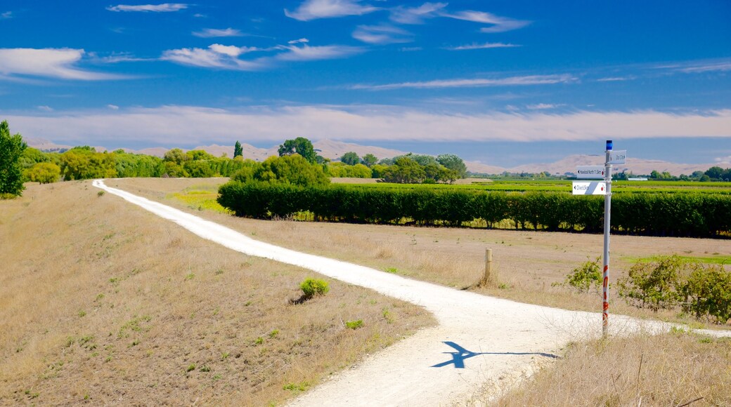 Napier which includes tranquil scenes