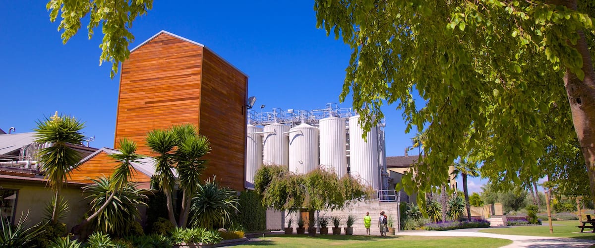 Bodega de vino Church Road