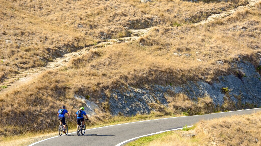 Te Mata Peak featuring road cycling and tranquil scenes as well as a small group of people