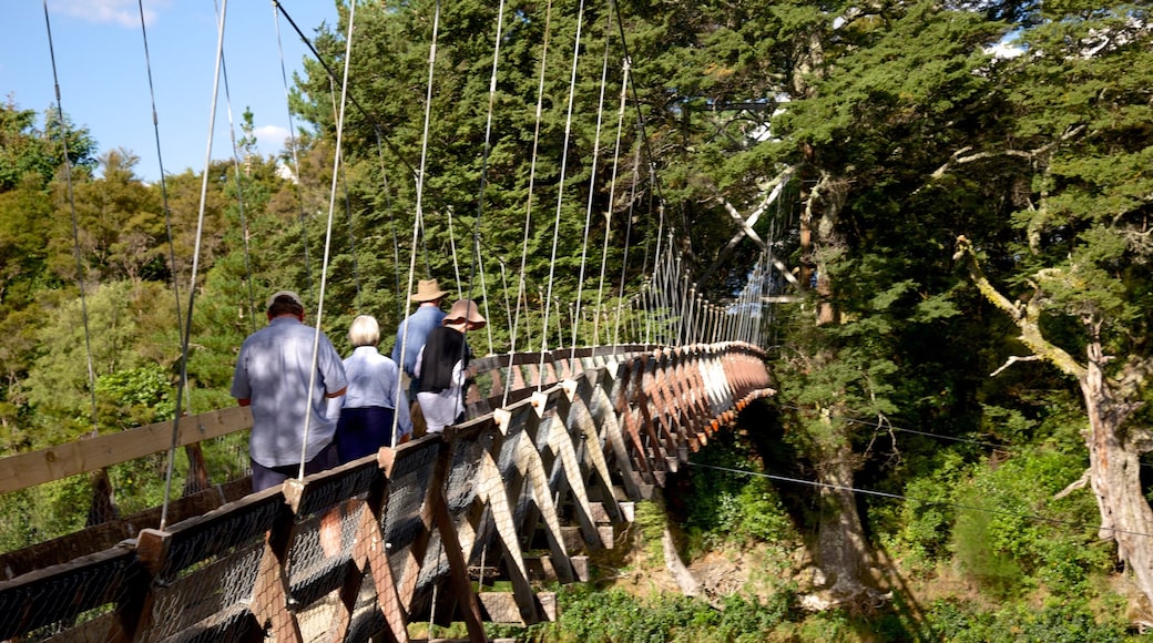 Turangi showing forest scenes and a suspension bridge or treetop walkway as well as a small group of people