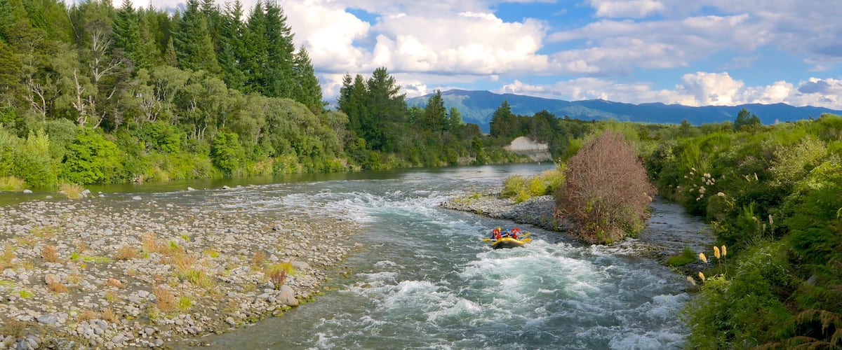 Turangi que incluye un río o arroyo y rafting