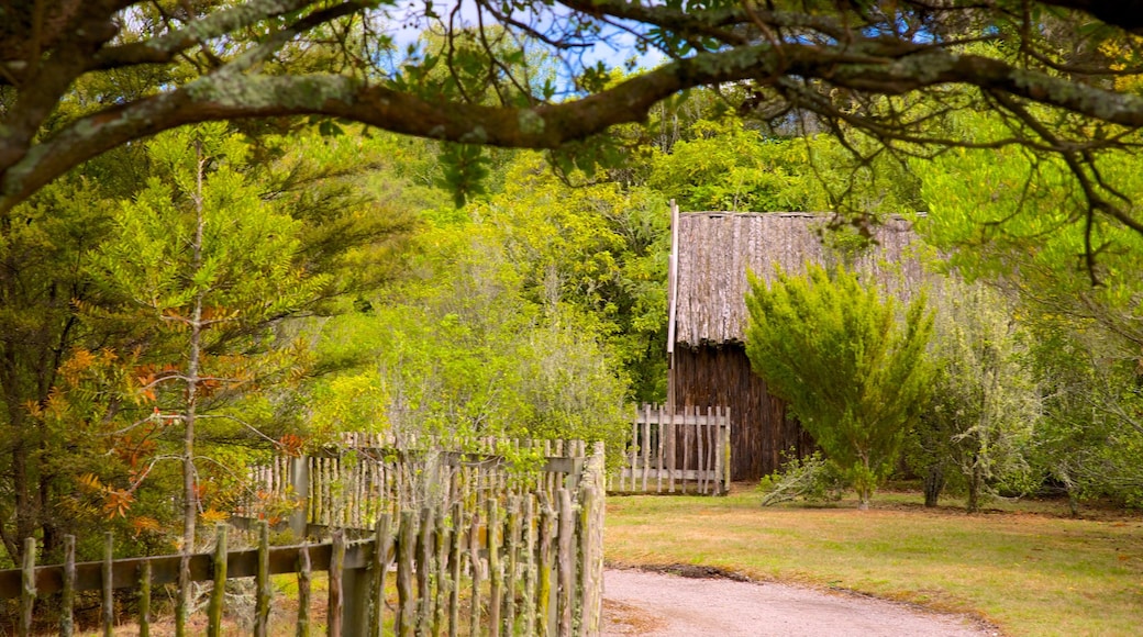 Wairakei which includes forest scenes and a park