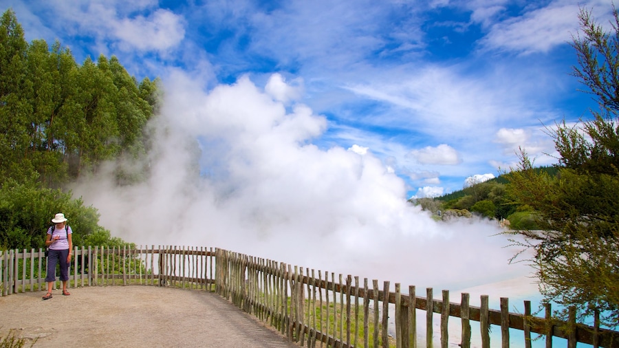 Wairakei caratteristiche di nebbia e foschia cosi come ragazza