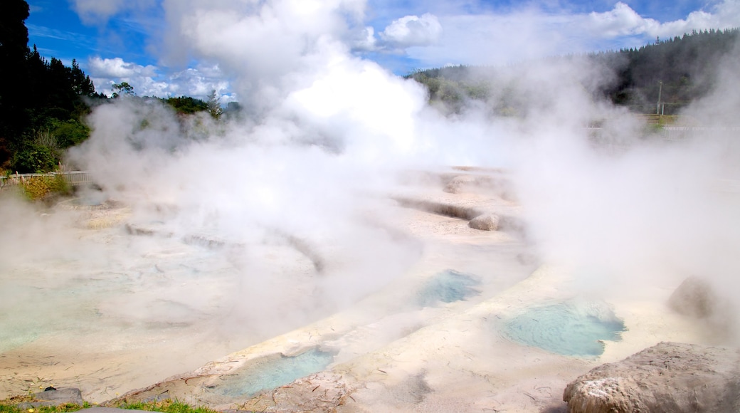 Wairakei showing mist or fog and a hot spring