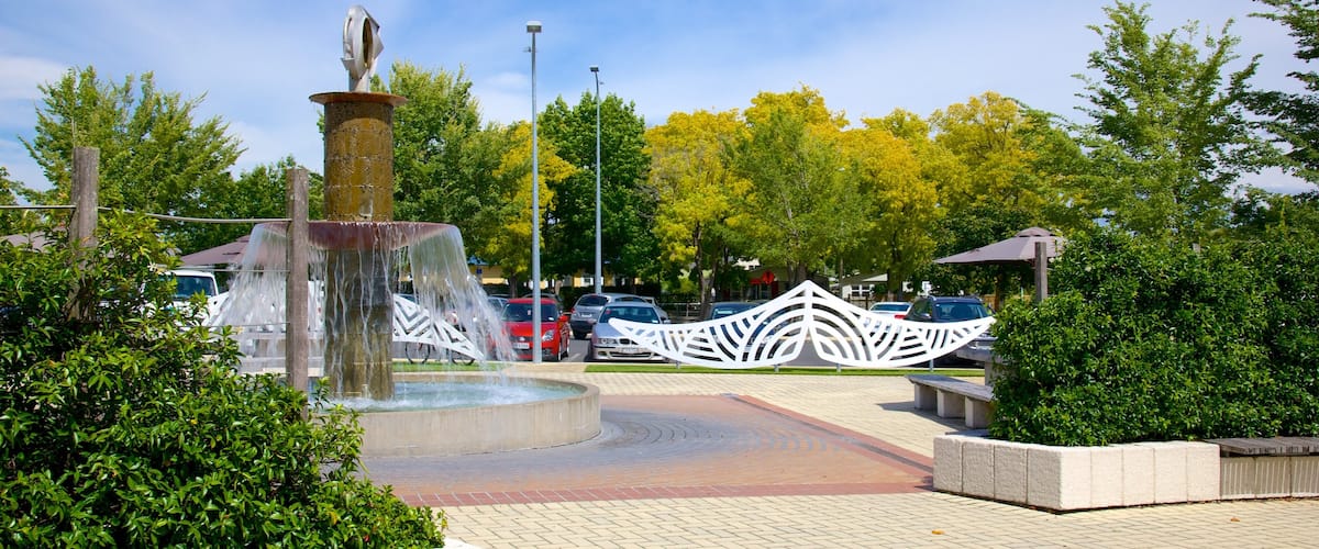 Havelock North featuring tori ja lähde