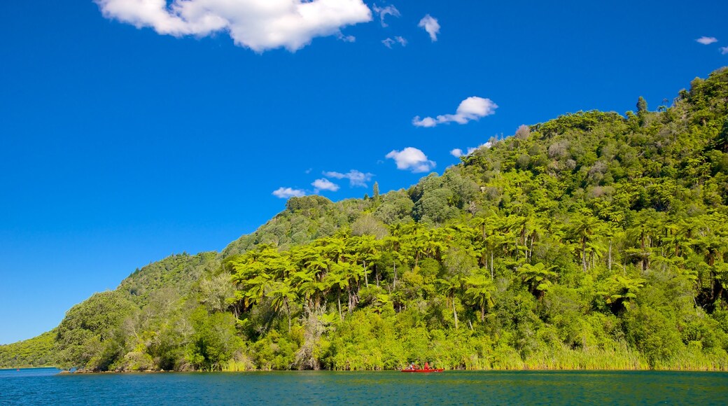 Lake Tarawera which includes a lake or waterhole and forests