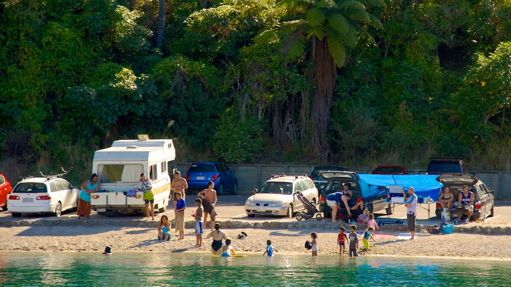 Lake Tarawera which includes a sandy beach as well as a small group of people