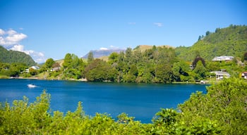 Lake Okareka showing a lake or waterhole