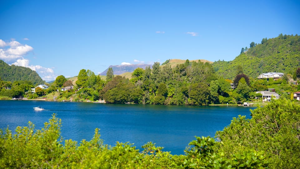 Lake Okareka showing a lake or waterhole
