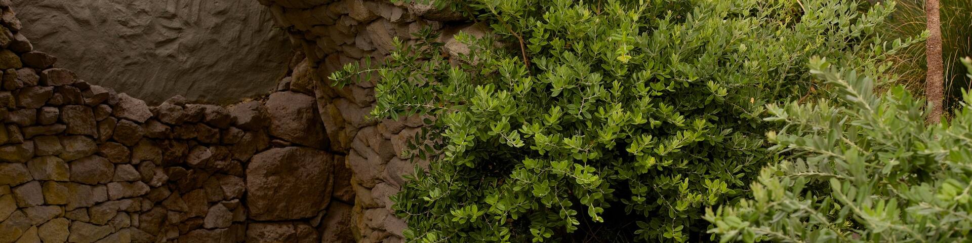 Polynesian Spa featuring a day spa as well as a couple