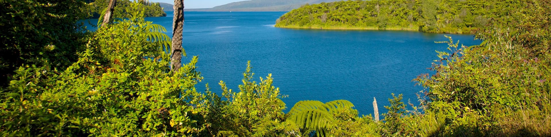 Lake Tikitapu featuring landscape views and a lake or waterhole