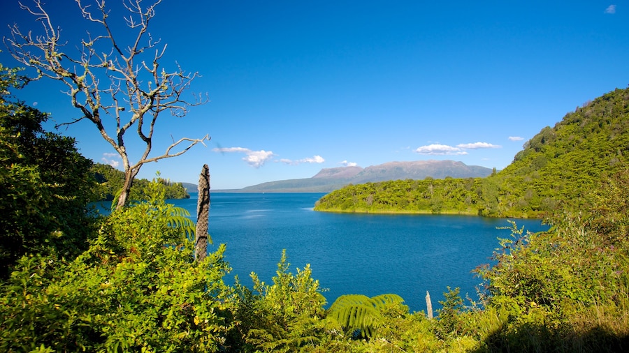 Lake Tikitapu featuring landscape views and a lake or waterhole