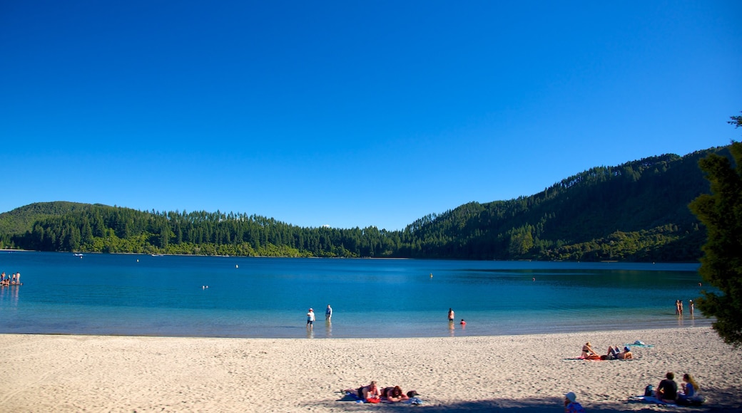 Lake Tikitapu showing a sandy beach and landscape views