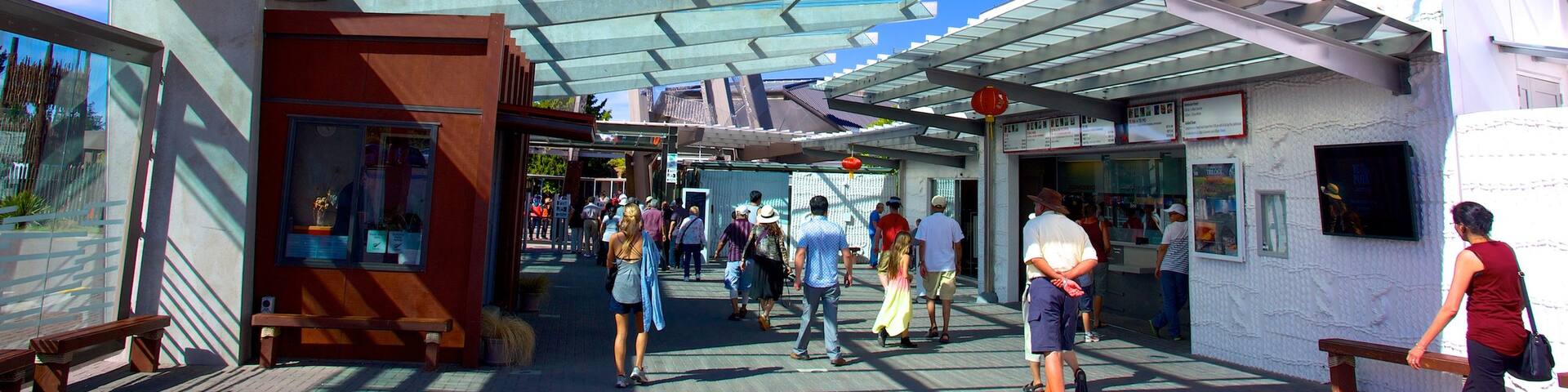 Te Puia New Zealand Maori Arts and Crafts Institute as well as a small group of people