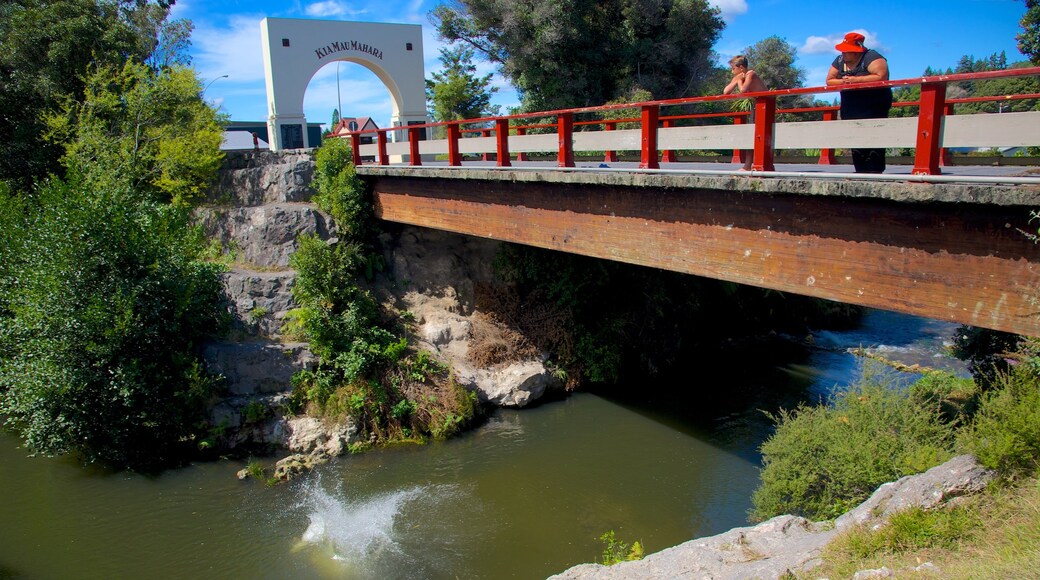 Whakarewarewa Thermal Reserve showing a river or creek and a bridge as well as a small group of people