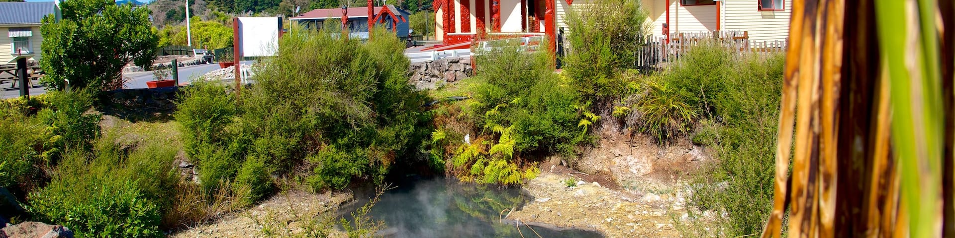 Whakarewarewa Thermal Reserve which includes a church or cathedral and a garden