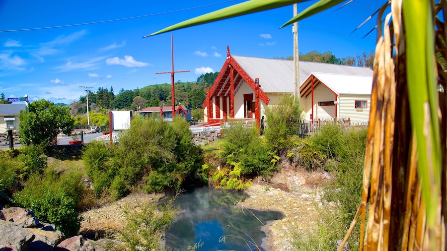 Whakarewarewa Thermal Reserve which includes a church or cathedral and a garden