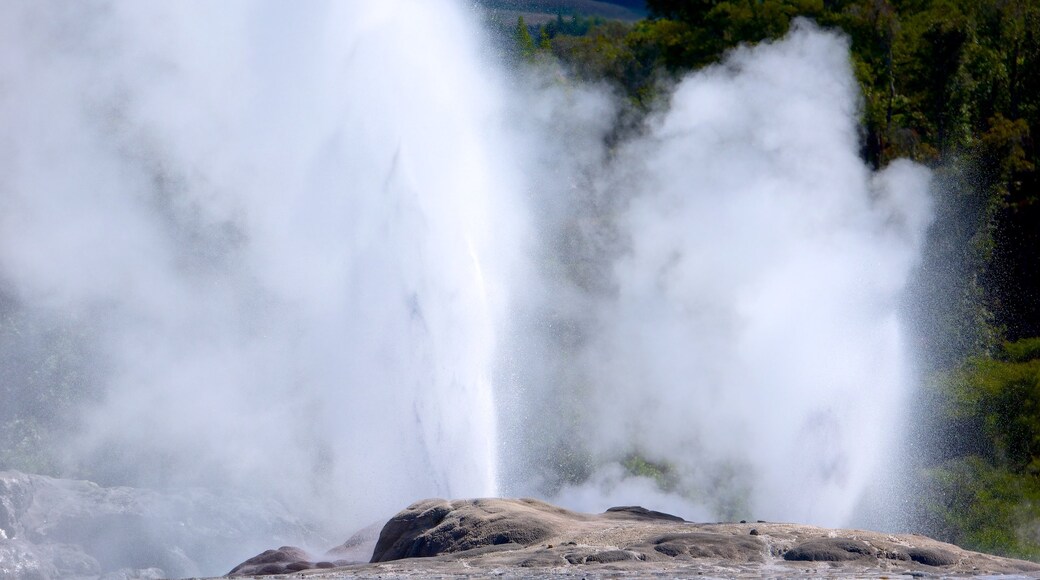 Whakarewarewa Thermal Reserve , Rotorua, Nueva Zelanda