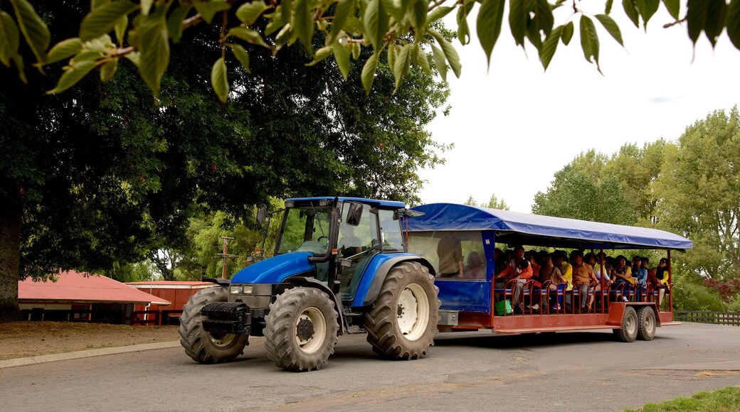 Agrodome featuring vehicle touring